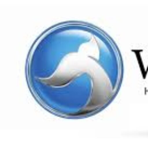 مركز صيانة وايت ويل